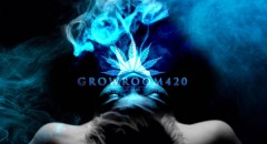 EBD8C946-80E7-43E1-8D53-1E050758A166