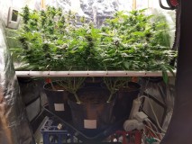 IMG_20210411_161417143_HDR