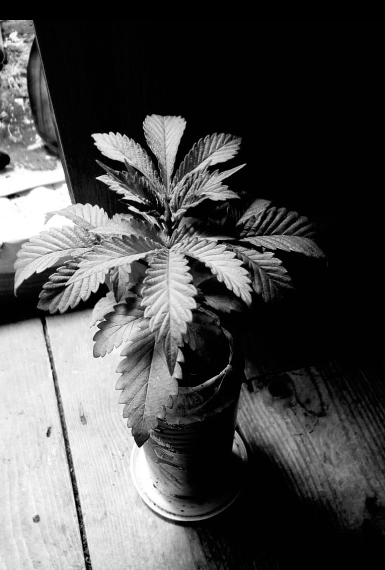 A3DB9A4D-CD3B-486F-AC70-8AC6E976284B