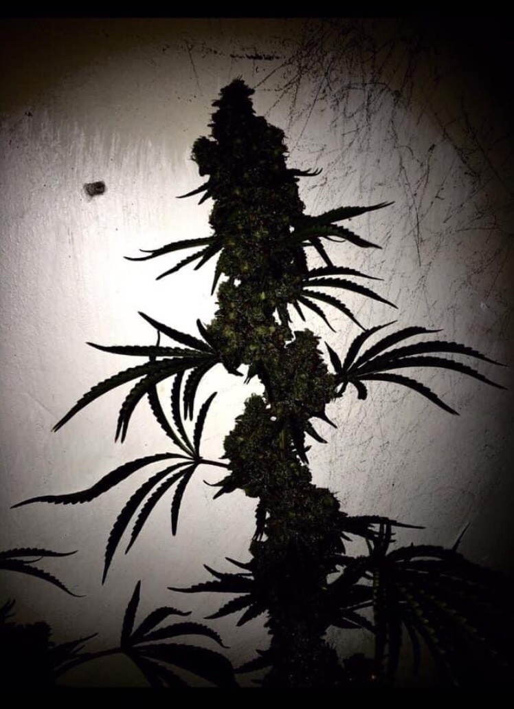 09D705E5-852F-4C1A-92DE-0CE58D03F5B4