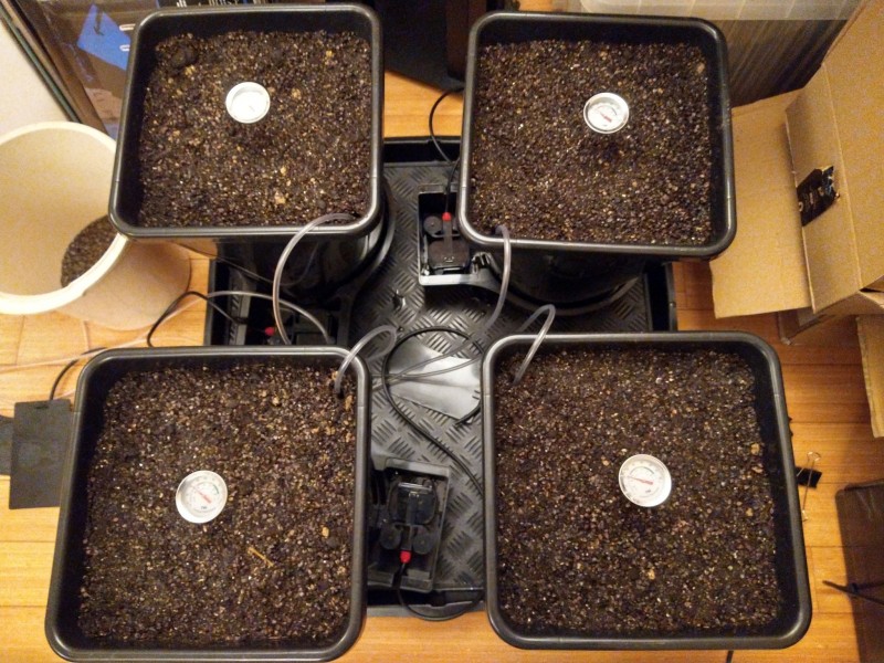 IMG_20210509_035144633_HDR