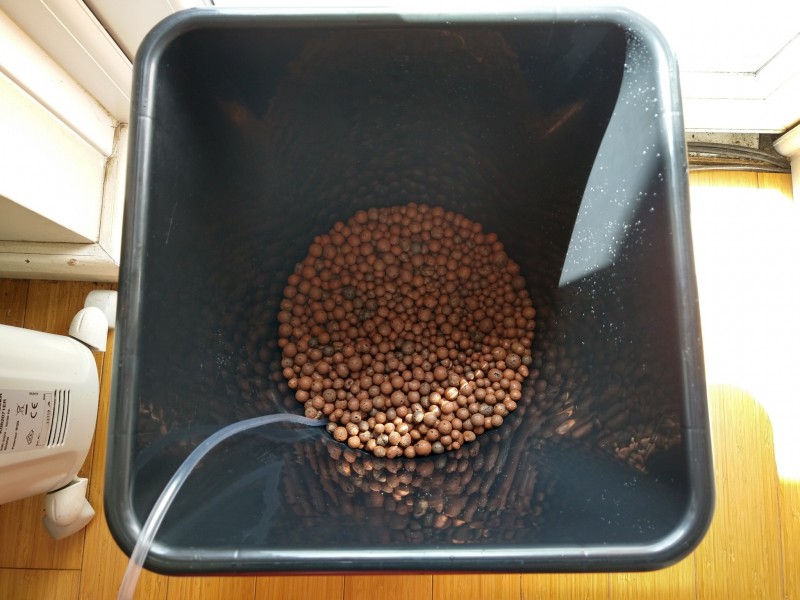 IMG_20210507_151111619_HDR