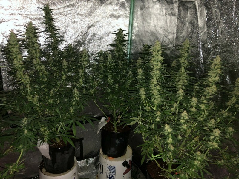 76864EA0-01FB-4F7E-9280-433CC6746488