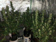 76864EA0-01FB-4F7E-9280-433CC6746488