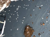 FA820C6C-A180-4295-B42F-214B4968C871