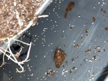 F6951BC4-B9D7-4953-934B-AC17DE0ACD82