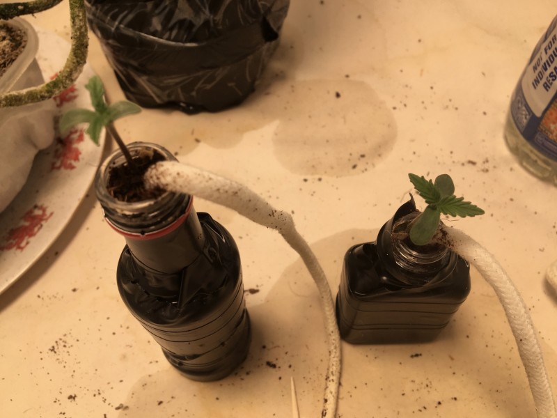 55D5BFEB-21B1-47E1-A658-8A8B4614BA30