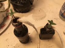 55D5BFEB-21B1-47E1-A658-8A8B4614BA30