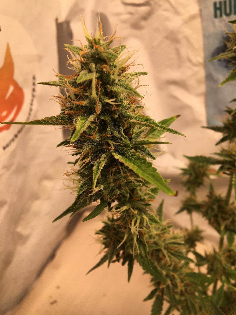 EC839812-DABE-458F-9342-840D8B3A6469