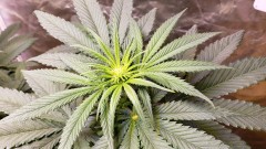 16207790465144742505517892471994