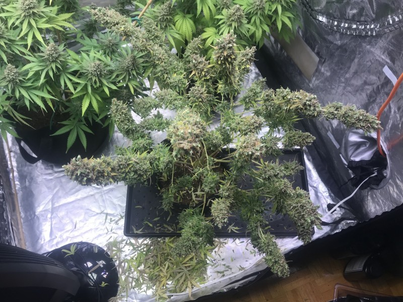 F10FB9AD-1BC8-4020-9DA3-1D8C46FEEFF5