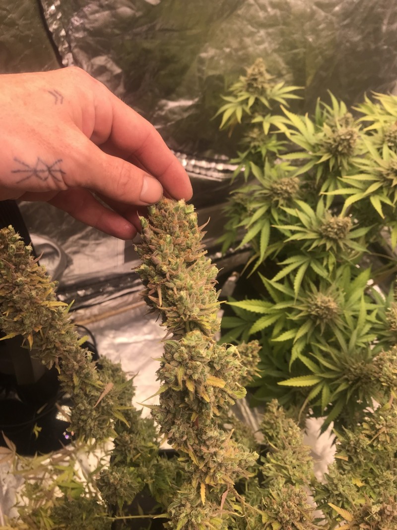 7119CA81-E4A9-466B-80C7-757E8412DE3D