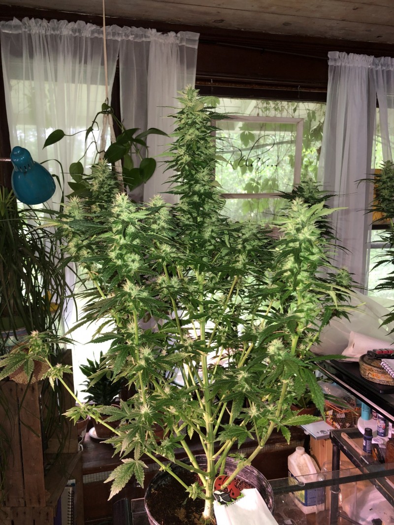 820C0874-D420-4487-A798-AB25CDF1F507