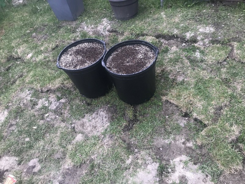 5B54418A-A941-415D-AC60-7215D876C04C