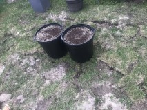 5B54418A-A941-415D-AC60-7215D876C04C