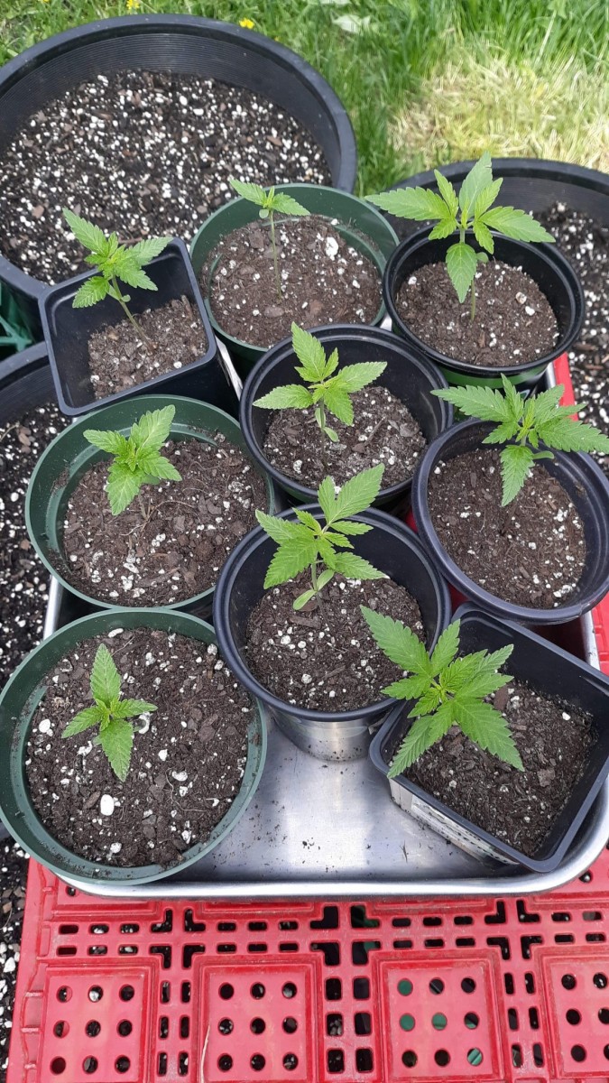 received_158642336202573