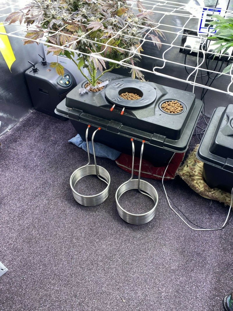 F41A973C-17D9-4D55-AF73-127F0E56750A