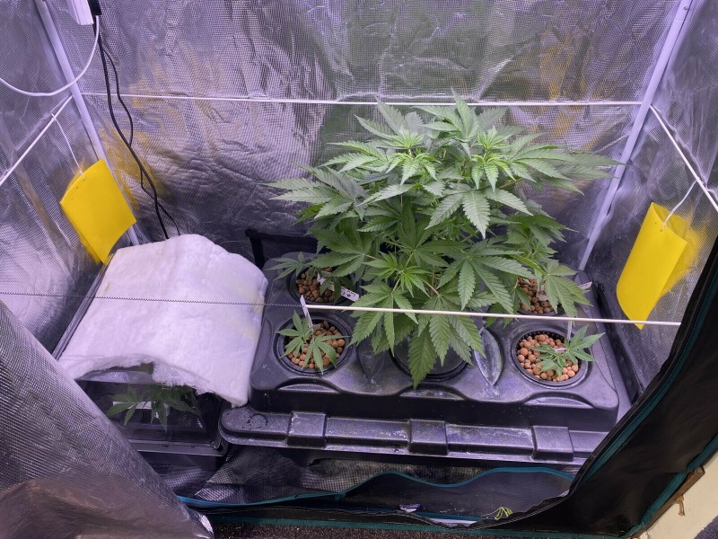 877E9711-5045-4615-9553-D9F5392DD988