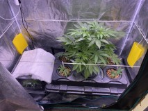 877E9711-5045-4615-9553-D9F5392DD988