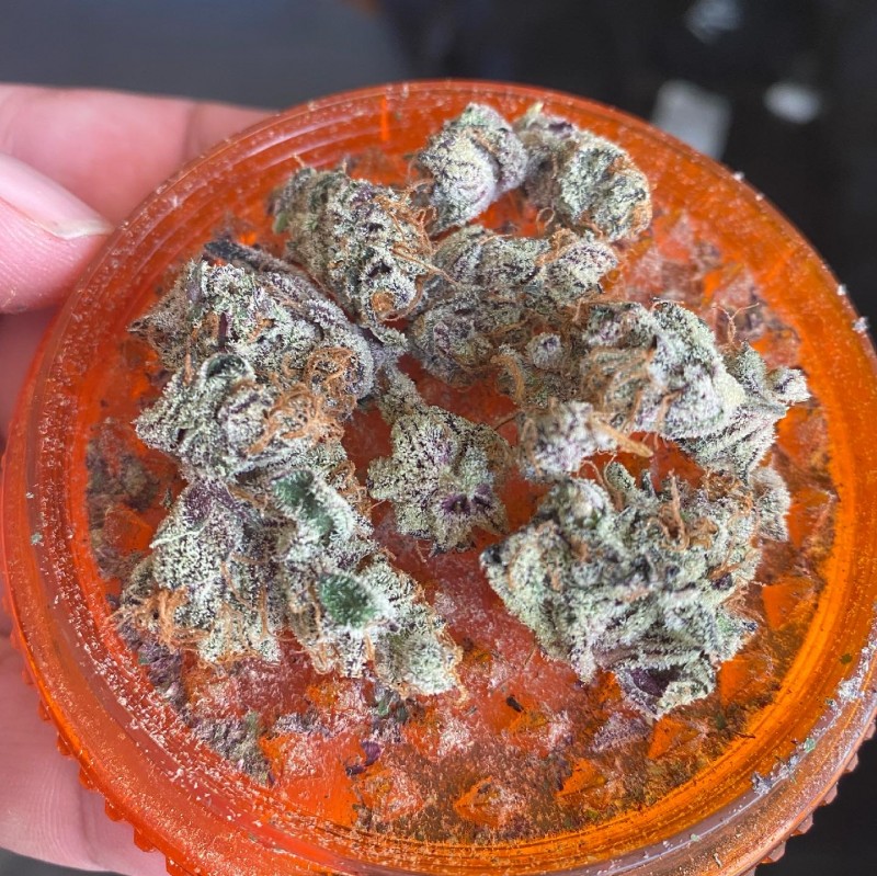 493DB90B-694E-453C-B608-0DE09BED45E2