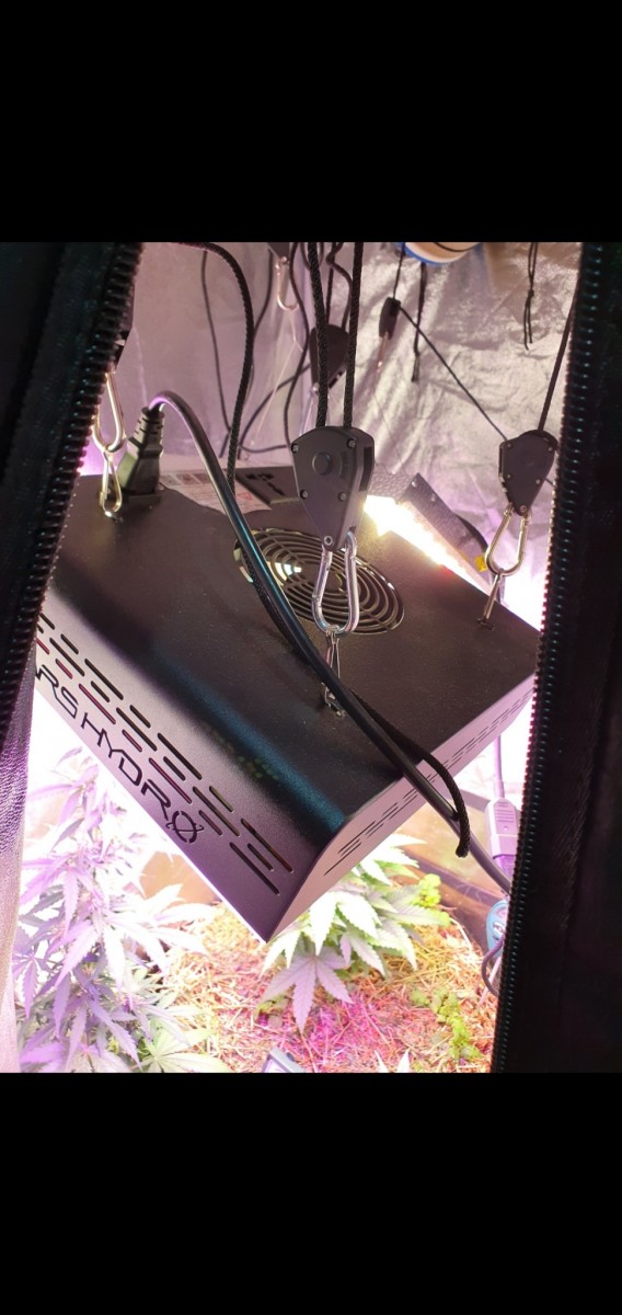 Screenshot_20210516-204006_Gallery