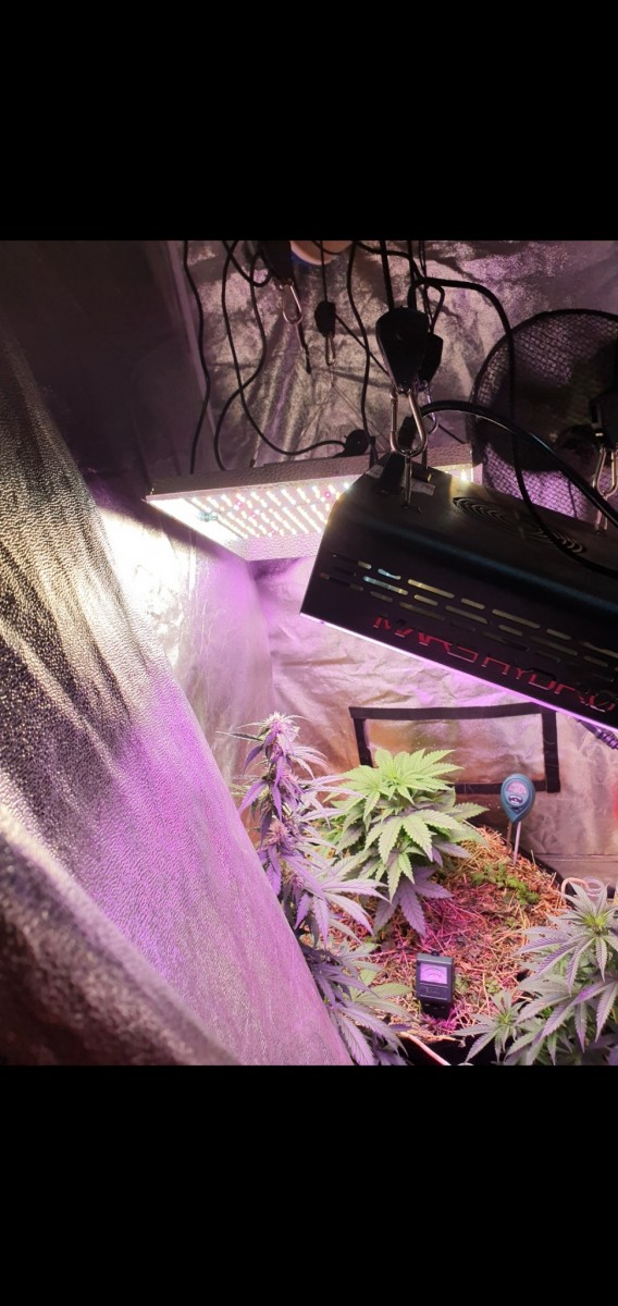 Screenshot_20210516-203959_Gallery