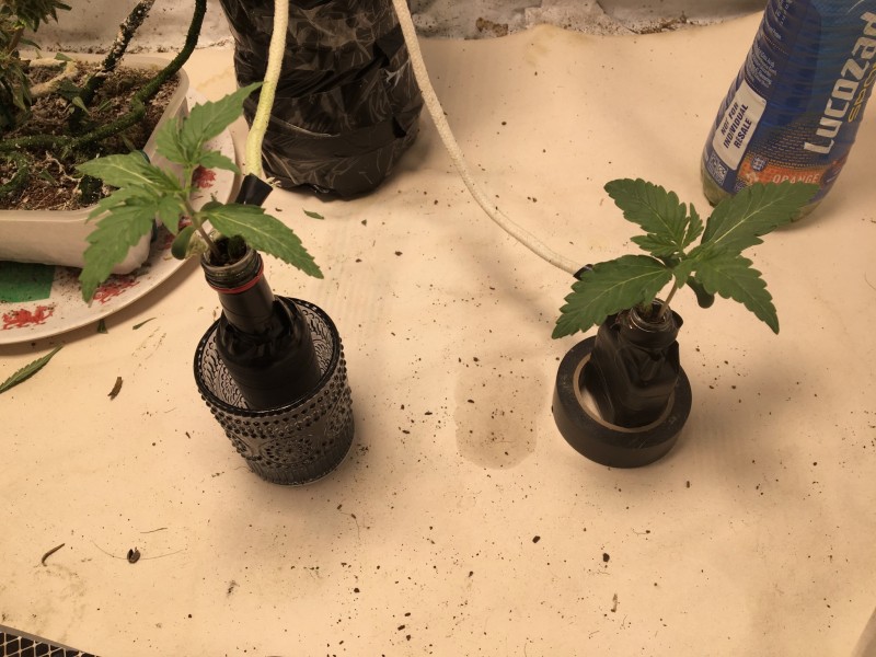 ABECD6D7-9D69-42ED-A21D-BCC2507ECF38