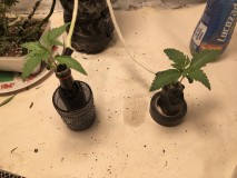 ABECD6D7-9D69-42ED-A21D-BCC2507ECF38