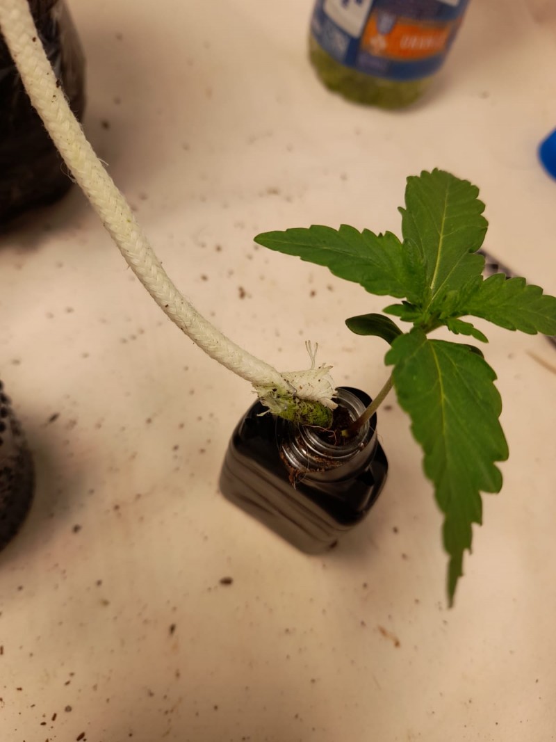 3C464C06-71FA-4EB1-9553-B2618A314C8E