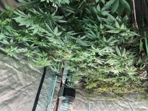 22B21B13-0C41-4A8F-8B42-8CB7293598CF