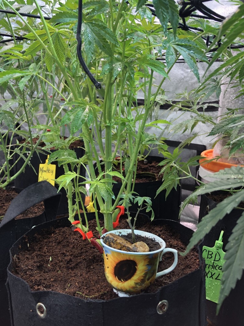 0160C471-0C31-4C81-A334-2340C6CED129