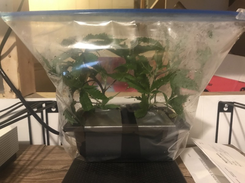 B6A1147C-E533-47D1-AC0A-C88AAC96D342