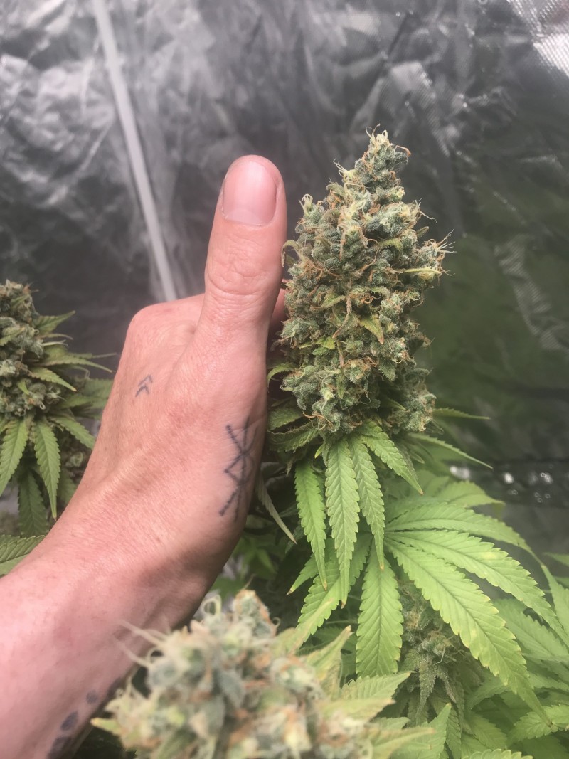 DDA52CC2-910E-428E-8D33-4AD6E5C41C50