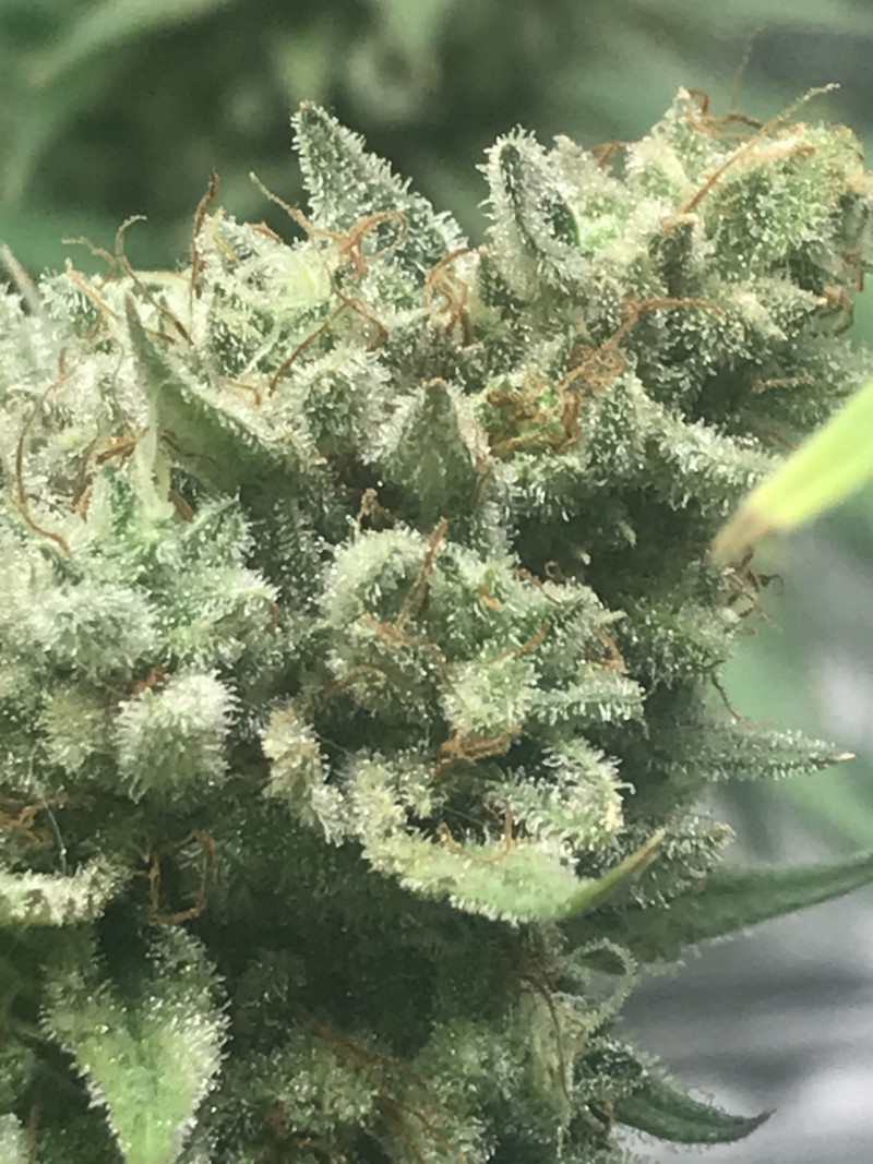 C730DB94-9B49-4B0E-BB3E-82BEC4761170