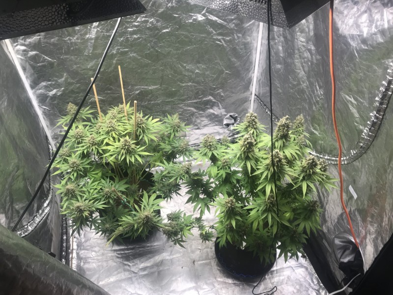 1B6FD91B-57C0-491F-85A4-EFB0B8533964