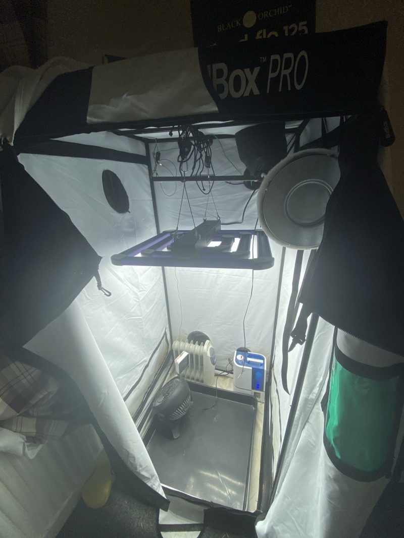 B5C4C0A7-21AC-4D62-A051-B8F6B4DB3D25