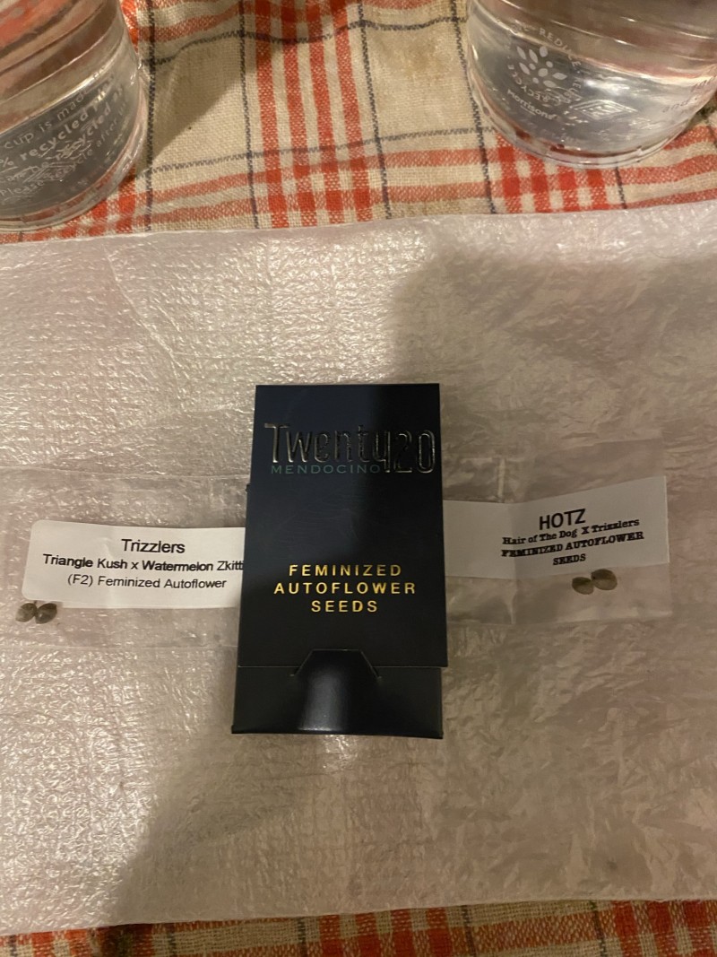 9B56D623-1CA8-4908-A086-4D7CF933BF76