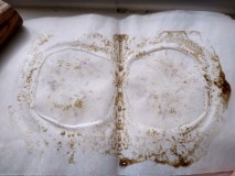 IMG_20210515_155446335_HDR