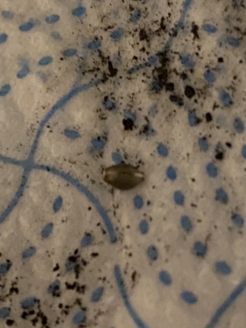 65C52096-1A43-47DF-964D-D27711A7BC59