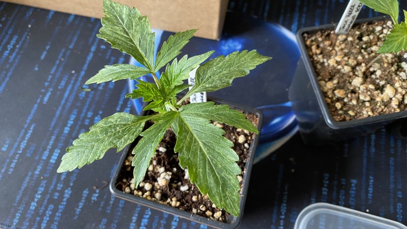 2398AE21-2527-451A-A837-4785AC6B59BB