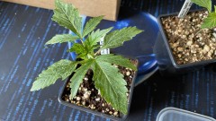 2398AE21-2527-451A-A837-4785AC6B59BB