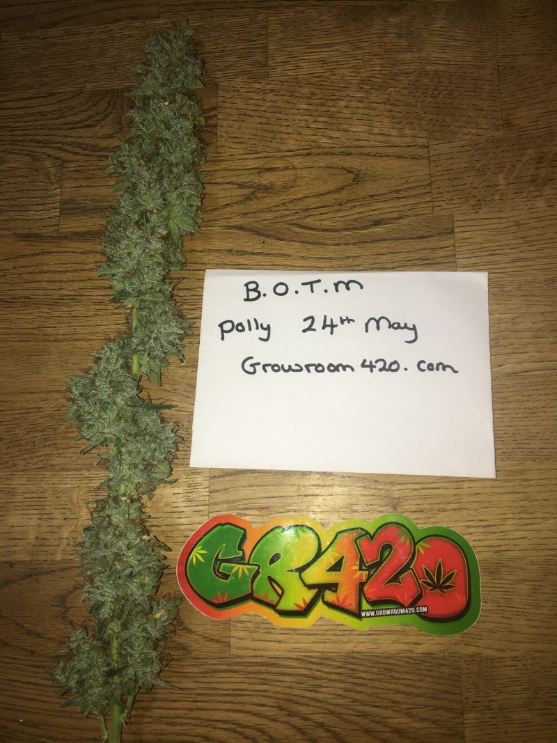 27CC321E-3371-43E0-A34D-1D9048E6255A