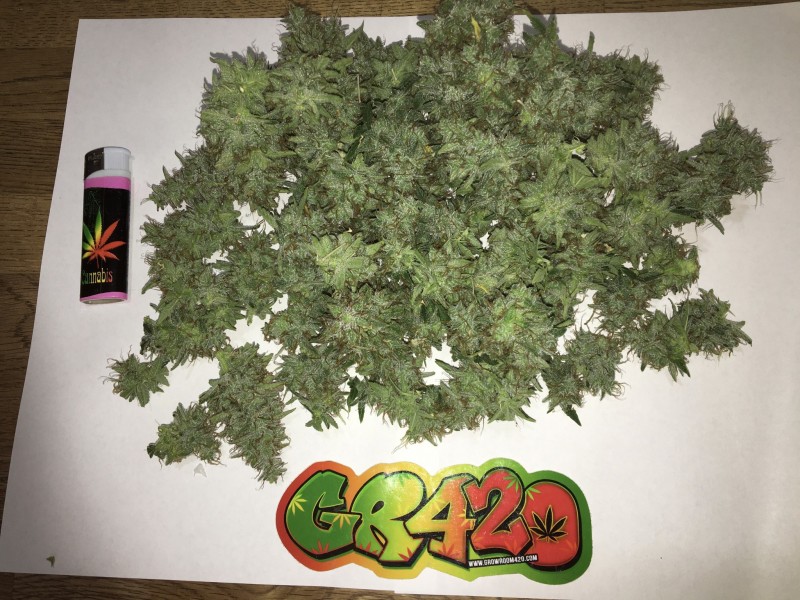 A379F158-29A5-4EAE-A258-F321385EE38A