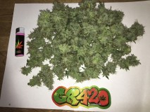 A379F158-29A5-4EAE-A258-F321385EE38A