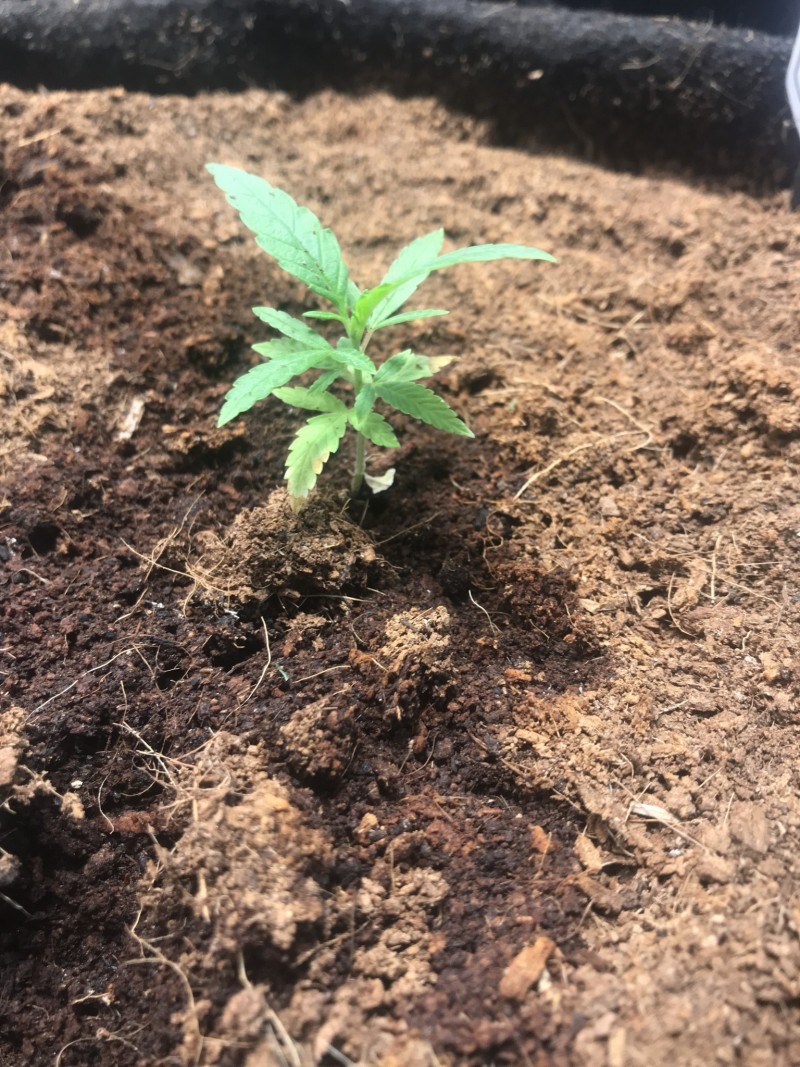 0F9F012B-4312-43DD-B822-A6043CFF4978