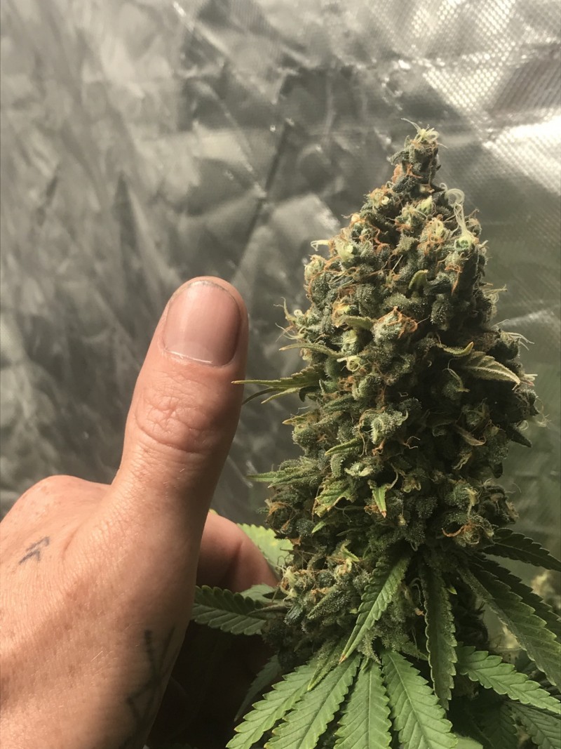 9CFD03EC-22C0-4BEF-974B-CF2835CE7E95