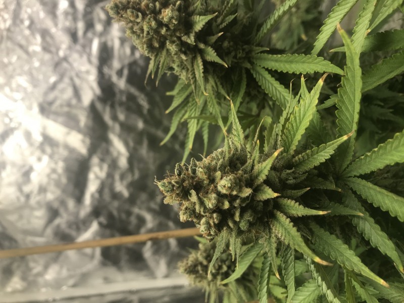 3562491E-C715-4CE7-910F-0CD78AC12823