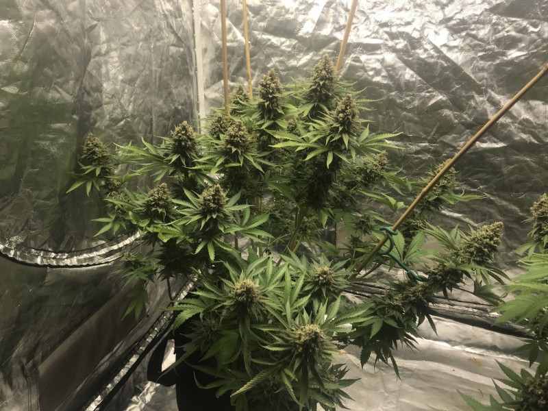 9C443B80-71E1-486B-BC25-47C02325CEC4