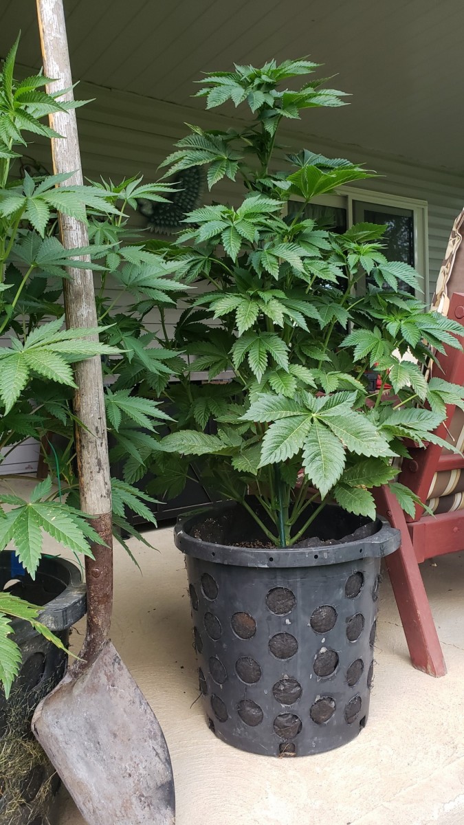 16219875189942772021205143531544