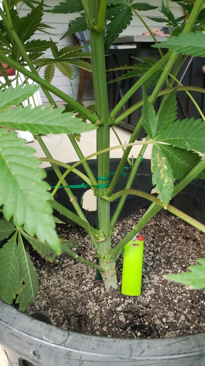 16219875674055470891449935976103